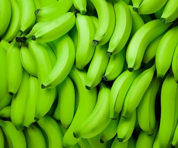 Cavendish Banana Exporters